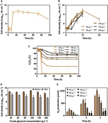 Bioremediation of Crude Glycerol by a Sustainable Organic–Microbe Hybrid System